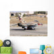 Israeli Air Force F-16b Wall Decal