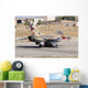 Israeli Air Force F-16b Wall Decal