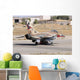 Israeli Air Force F-16b Wall Decal