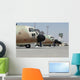Israeli Air Force C-130 Wall Decal