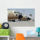 Israeli Air Force C-130 Wall Decal