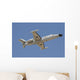Israeli Air Force 1124n Wall Decal