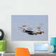 Pakistan Air Force F-16a In-Flight Wall Decal