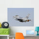 Pakistan Air Force F-16a In-Flight Wall Decal