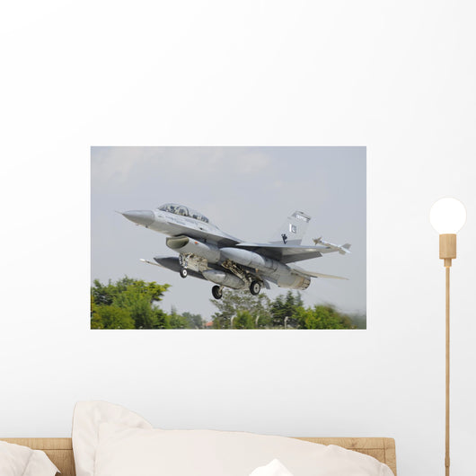 Pakistan Air Force F-16b Wall Decal
