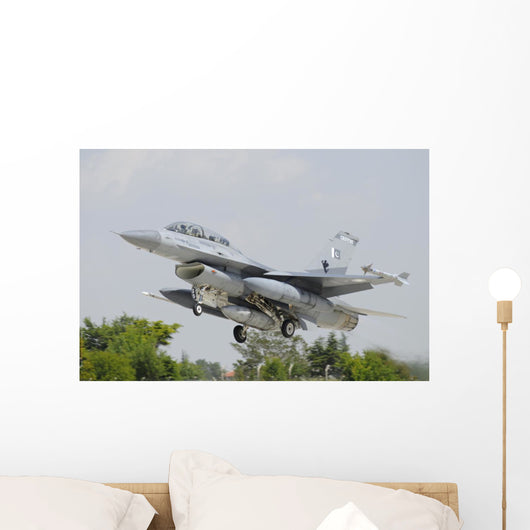 Pakistan Air Force F-16b Wall Decal