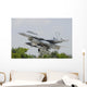 Pakistan Air Force F-16b Wall Decal
