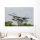Pakistan Air Force F-16b Wall Decal