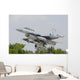 Pakistan Air Force F-16b Wall Decal