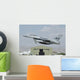 Pakistan Air Force F-16a Wall Decal