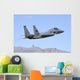 Us Air Force F-15c Sky Wall Decal