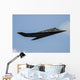 Us Air Force F-117 Wall Decal