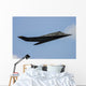 Us Air Force F-117 Wall Decal