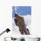 Us Air Force A-10 Tall Wall Decal