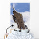 Us Air Force A-10 Tall Wall Decal