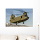 Nevada National Guard Ch-47 Wall Decal