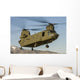 Nevada National Guard Ch-47 Wall Decal