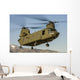 Nevada National Guard Ch-47 Wall Decal