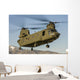 Nevada National Guard Ch-47 Wall Decal