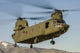 Nevada National Guard Ch-47 Wall Decal