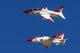 Pair T-45 Goshawks Us Wall Decal