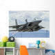 Us Air Force F-15c Nose Right Wall Decal