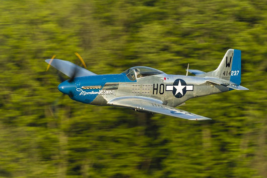 P-51 Mustang Flies in Trees Wall Decal