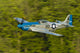 P-51 Mustang Flies in Trees Wall Decal