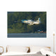 P-51 Mustang Flies Over Water Wall Decal