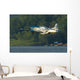 P-51 Mustang Flies Over Water Wall Decal