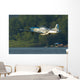 P-51 Mustang Flies Over Water Wall Decal