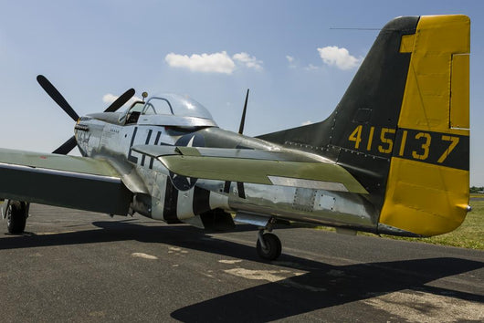 P-51 Mustang Parked Ramp Back Left Wall Decal