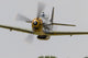 P-51 Mustang Flies East Front Propeller Wall Decal