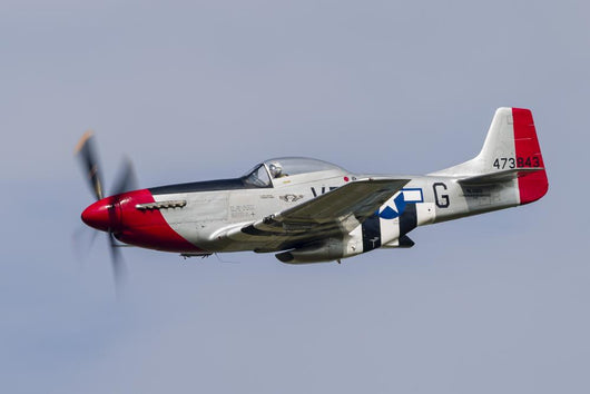 P-51 Mustang Flies Willow Wall Decal