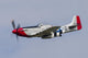 P-51 Mustang Flies Willow Wall Decal