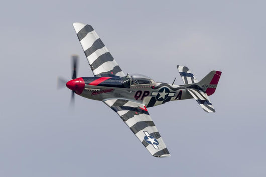 P-51 Mustang Flies Willow Banking Left Wall Decal