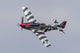 P-51 Mustang Flies Willow Banking Left Wall Decal