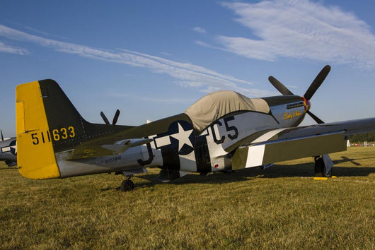 P-51 Mustang Parked Eaa with Tarp Wall Decal