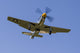 P-51 Mustang Prepares for Wall Decal