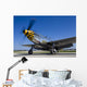 P-51 Mustang Waukegan Illinois Wall Decal