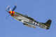 P-51 Mustang Flies Stead Wall Decal