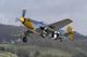Yellow Checkerboard P-51 Mustang Takes off Wall Decal