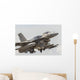United Arab Emirates F-16e Wall Decal