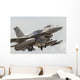 United Arab Emirates F-16e Wall Decal