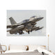 United Arab Emirates F-16e Wall Decal