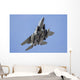 Royal Saudi Air Force Wall Decal