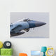 Aggressor F-15c Eagle Us Nose Wall Decal