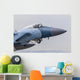 Aggressor F-15c Eagle Us Nose Wall Decal
