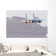 Aggressor F-15c Eagle Us In-Flight Wall Decal