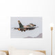Aggressor F-16c Fighting Falcon Wall Decal
